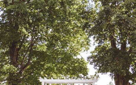 Ceremony at Flag Hill Winery. Photo by Jayna Cowal Photography - Ceremony music provided by Audio Events